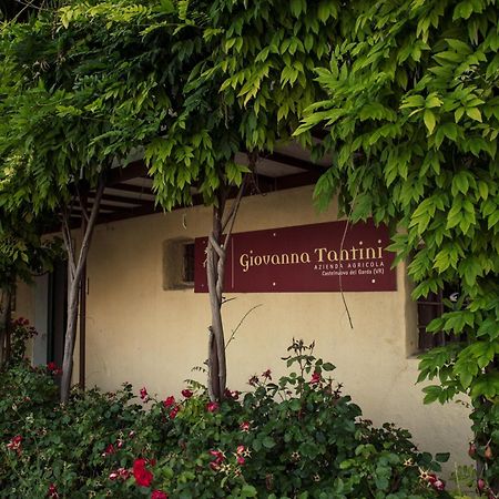 Agriturismo I Mischi Castelnuovo del Garda Buitenkant foto