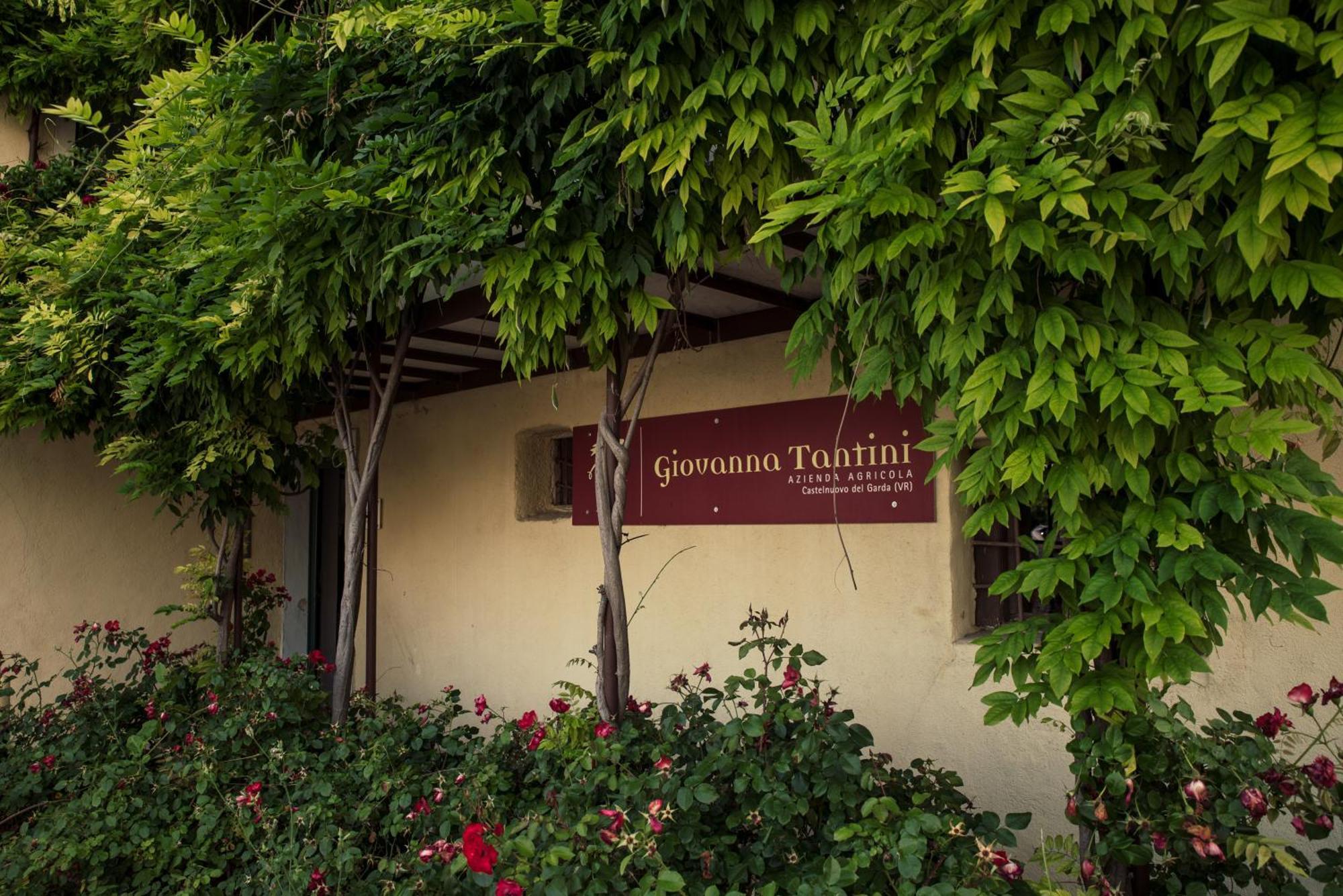 Agriturismo I Mischi Castelnuovo del Garda Buitenkant foto