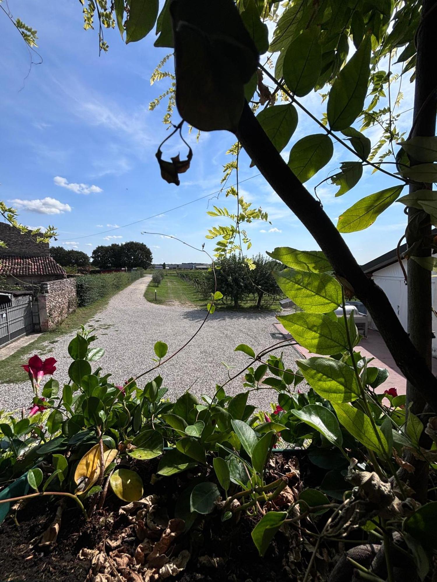 Agriturismo I Mischi Castelnuovo del Garda Buitenkant foto