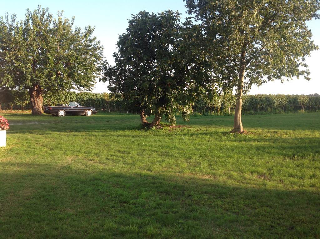 Agriturismo I Mischi Castelnuovo del Garda Buitenkant foto